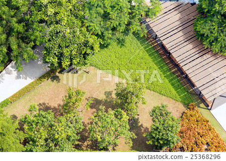 Ariel view of Peaceful modern garden background 25368296