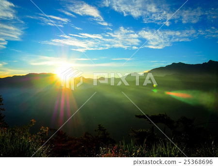 taiwan, alishan, alp 25368696