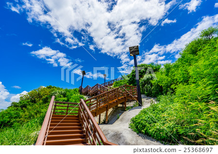 [Okinawa Prefecture] Tropical image 25368697