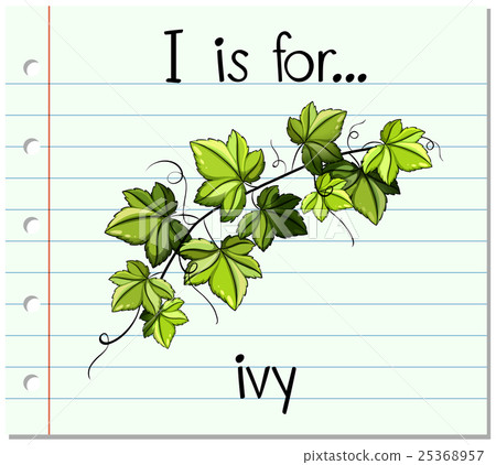 Vector illustration 25368957