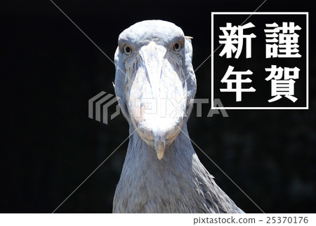 New Year's card of Hushibilokou 1 25370176