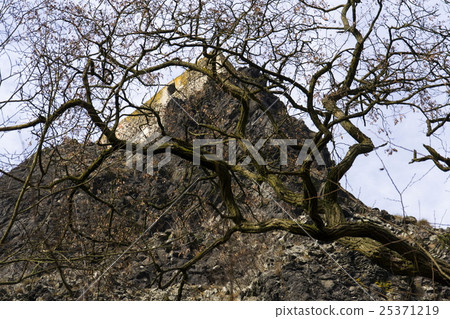 Bosky ruins of castle Trosky in Czech Republic  25371219