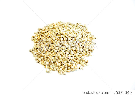 Background material of health food · Chinese herb medicine made of mature seeds of pearl oyster Yokuinin · white back sideways position overlooking up Background material of health food · Chinese herb medicine made of mature seeds of pearl oyster Yokuinin · white back sideways position overlooking up 25371340