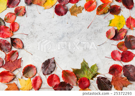 Colorful autumn leaves on a grey stone background Colorful autumn leaves on a grey stone background 25372293