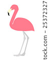Flamingo  25372327