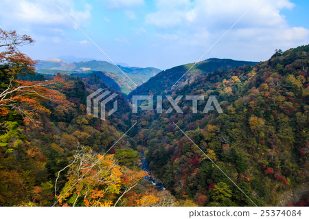 秋葉看法從Kuju Yumeji吊橋的 秋葉看法從Kuju Yumeji吊橋的 25374084