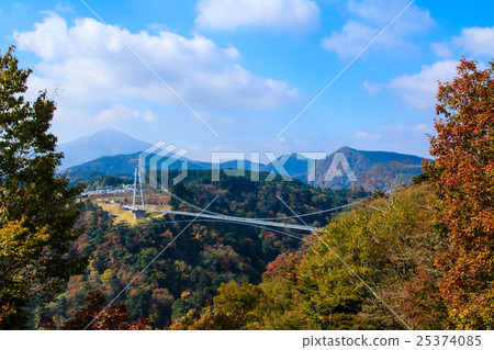 Kuju Yumeji吊橋秋葉 25374085