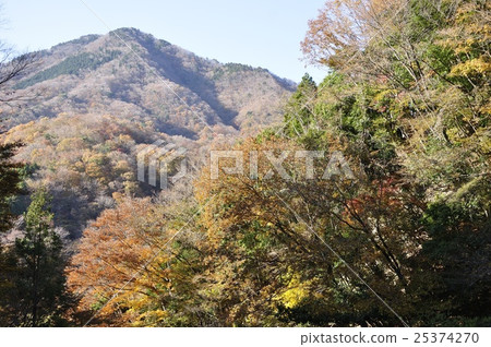 秋葉的西谷澤Hikiyama 秋葉的西谷澤Hikiyama 25374270