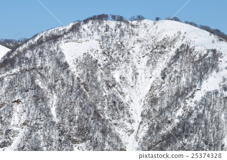 白色運動高峰期 25374328