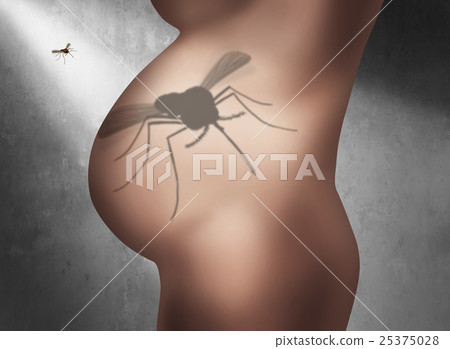 Zika Pregnancy Fear Zika Pregnancy Fear 25375028