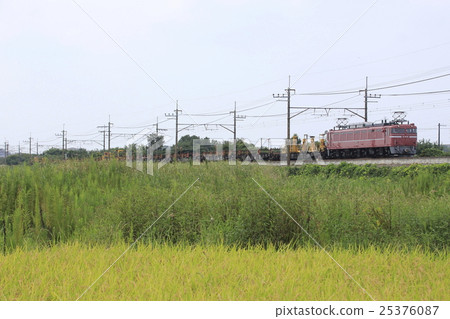 Rail transportation train going along the Mineuma Rice field and Musashino line Rail transportation train going along the Mineuma Rice field and Musashino line 25376087