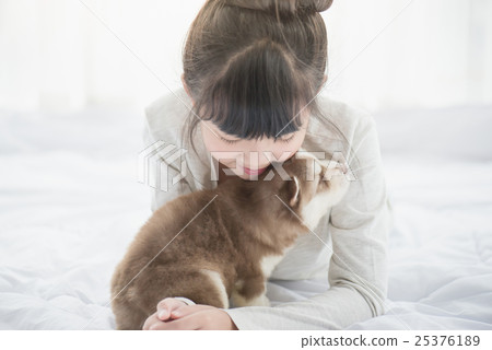 asian girl lying with two siberian husky puppies 25376189