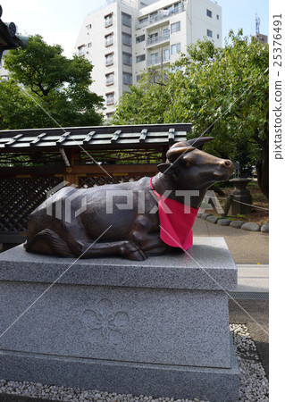 Yushima Tenjin's stroked cow (Well) 25376491