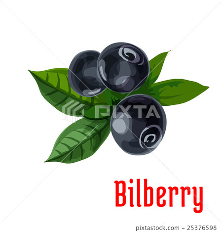 Blue bilberry fruit with green leaves cartoon icon 25376598