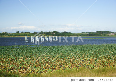 Naganuma boat ground 25377258