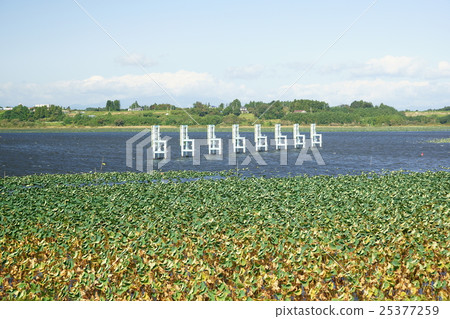 Naganuma boat ground 25377259
