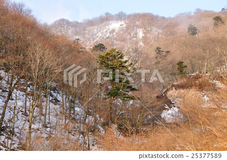 Tanzawa山在早晨煥發 25377589