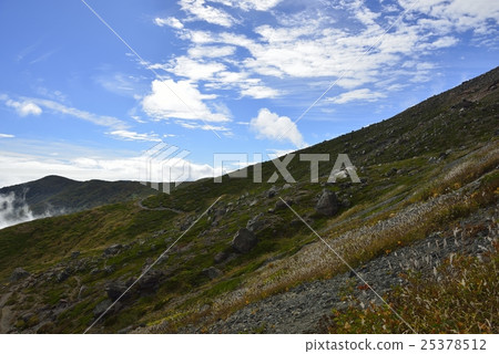 Mt. Awatake (Nasu-dake) grass autumn leaves on mountain peak (Tochigi) 25378512
