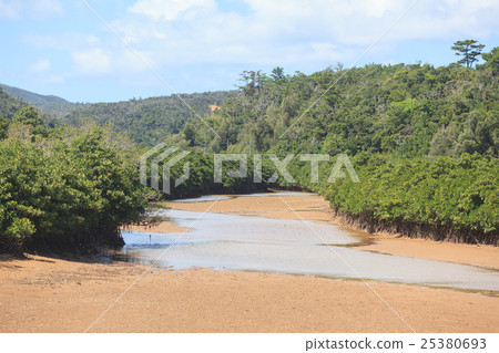 Hirugi forest in Keisatsu Bay 25380693