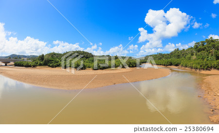 Hirugi forest in Keisatsu Bay Hirugi forest in Keisatsu Bay 25380694