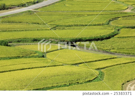 秋季農村景觀(Tamisuso) 秋季農村景觀(Tamisuso) 25383371