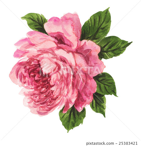 bloom, blossom, blossoms 25383421