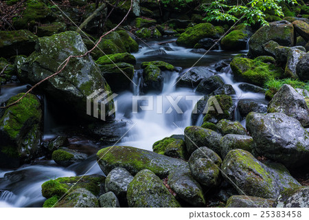 Mountain stream Mountain stream 25383458