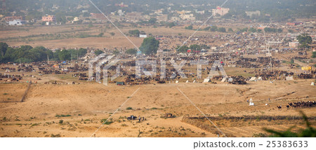 Panarama of Pushkar Camel Fair in India Panarama of Pushkar Camel Fair in India 25383633