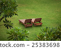 deck chairs near the hotel 25383698