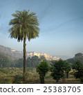 Amber fort. View from afar with palm trees 25383705