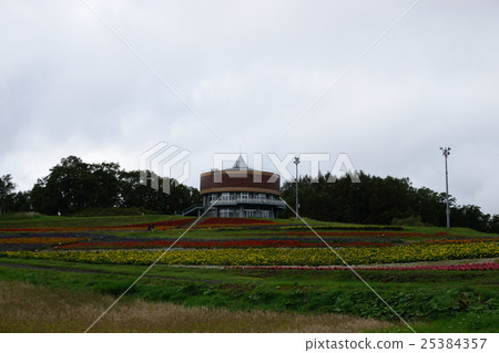 With strong 25384357