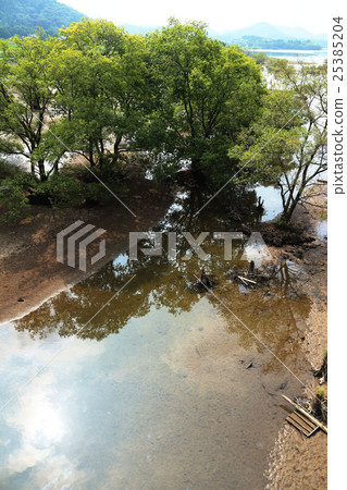 One of the best bus fishing spots in western Japan - Sengokuji Lake summer - One of the best bus fishing spots in western Japan - Sengokuji Lake summer - 25385204