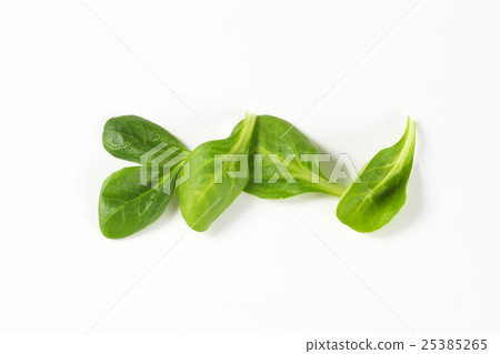 fresh corn salad leaves fresh corn salad leaves 25385265