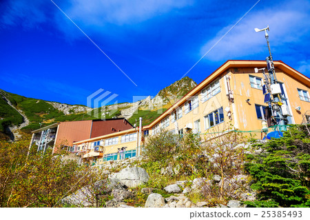 Komagatake Senjyojiki curl 25385493