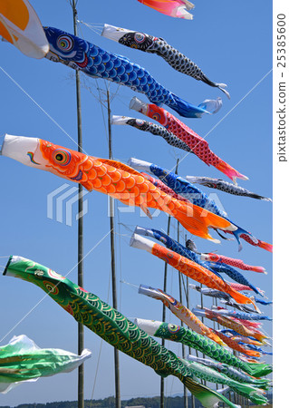 Koinobori of Shonai River (Miyazaki Miyakonojo) 25385600