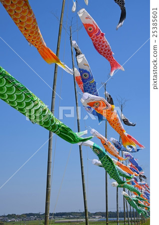 Koinobori of Shonai River (Miyazaki Miyakonojo) 25385601