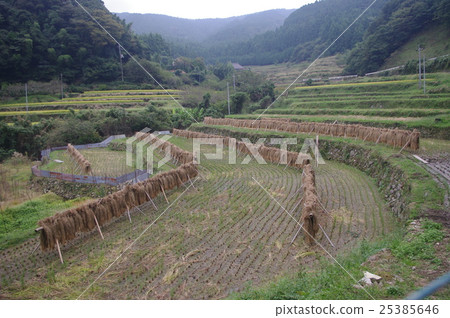 Inagi · Legend · Induction Inagi · Legend · Induction 25385646