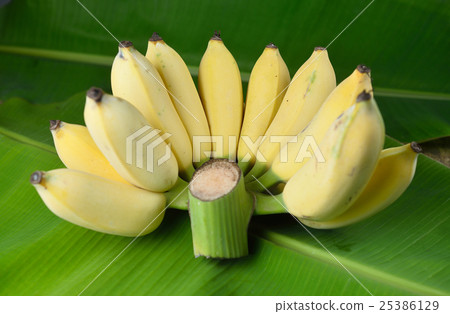 Local Thai Banana Local Thai Banana 25386129