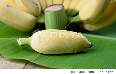 Local Thai Banana Local Thai Banana 25386166