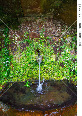 Close up of water source in the mountains, Madeira 25386631