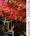 Autumn leaves of Saitama Hirinji 20 25390106