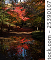 Autumn leaves of Saitama Hirinji 21 25390107