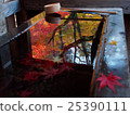 Autumn leaves of Saitama Hirinji 25 25390111