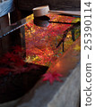 Autumn leaves of Saitama Hirinji 28 25390114