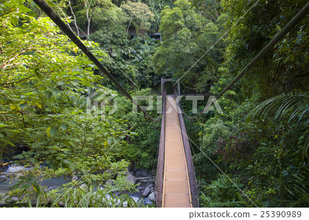 吊橋 25390989