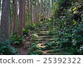 Walking on the old road 25392322