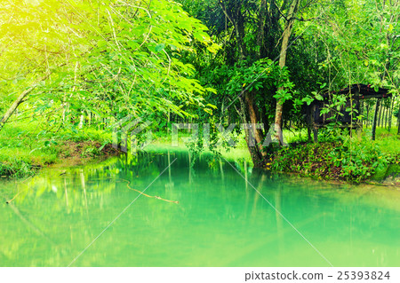Vintage landscape and river background Vintage landscape and river background 25393824