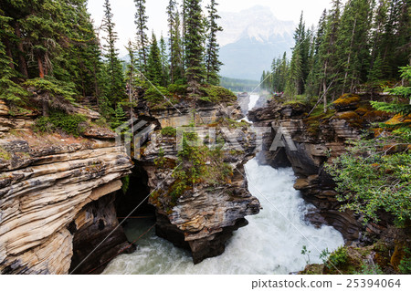 Canyon in Banff NP 25394064