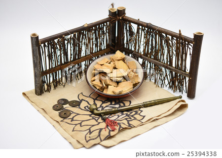 龜板 龜板 25394338