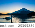 Mt. Fuji at the evening and swans 25395289